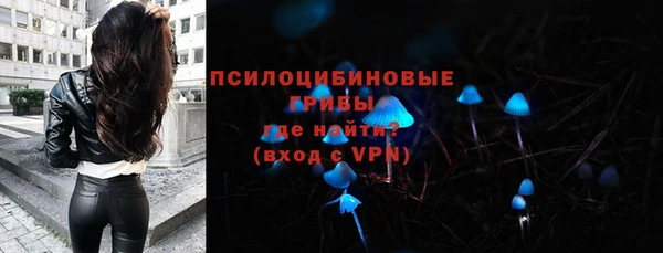бошки Гусев