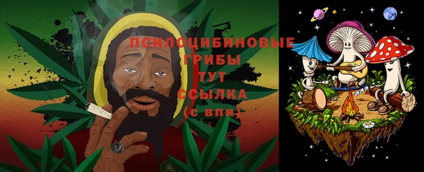 эйфоретик Алексин