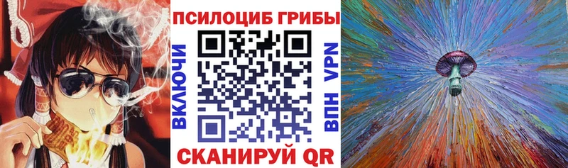Псилоцибиновые грибы Psilocybe  цены   Заполярный 